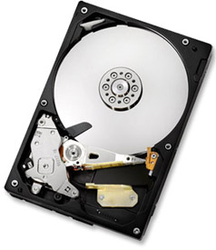 HGST Deskstar 7K1000.C 1TB Hard Drive