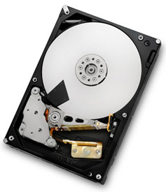 HGST Deskstar 7K3000 3TB Hard Drive