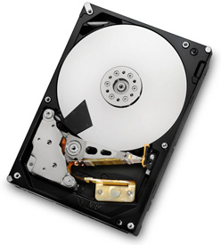 Ultrastar 7K3000 Hard Drive