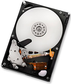 Ultrastar A7K2000 Hard Drive